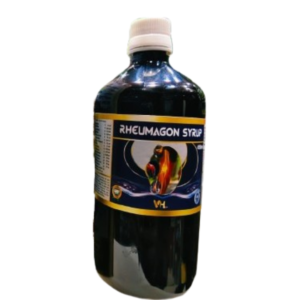 RHEUMAGON SYRUP